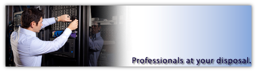 Professionals at your disposal